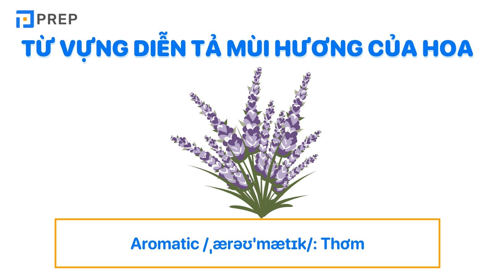 Từ vựng tiếng Anh diễn tả mùi hương của hoa