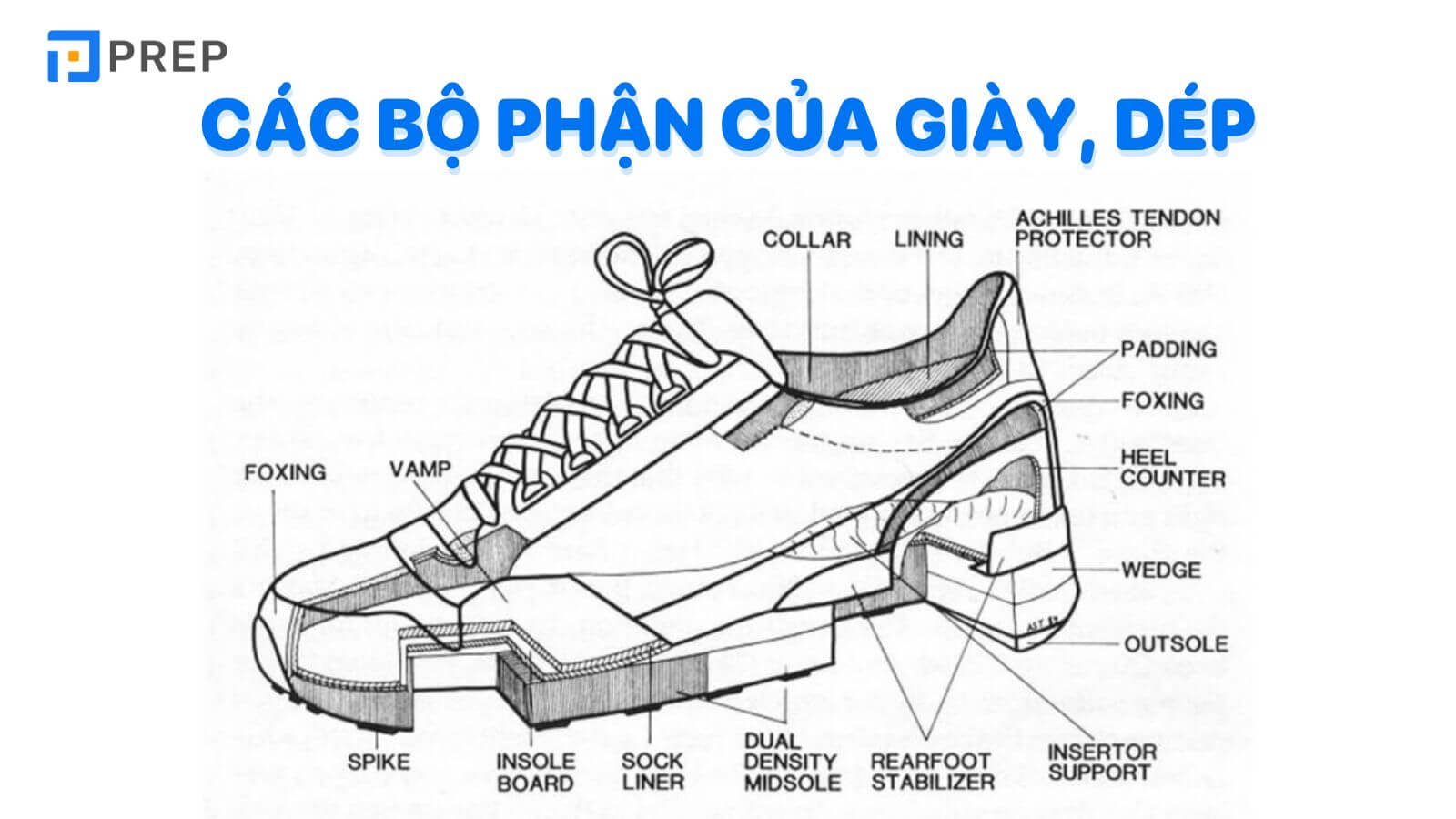 Từ vựng tiếng Anh về bộ phận của giày dép