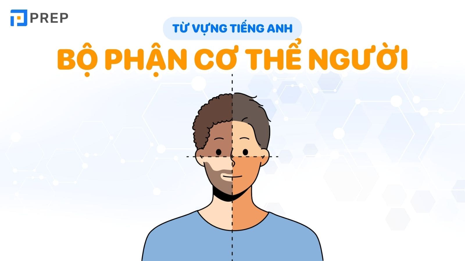 tu-vung-tieng-anh-ve-co-the-nguoi.jpg