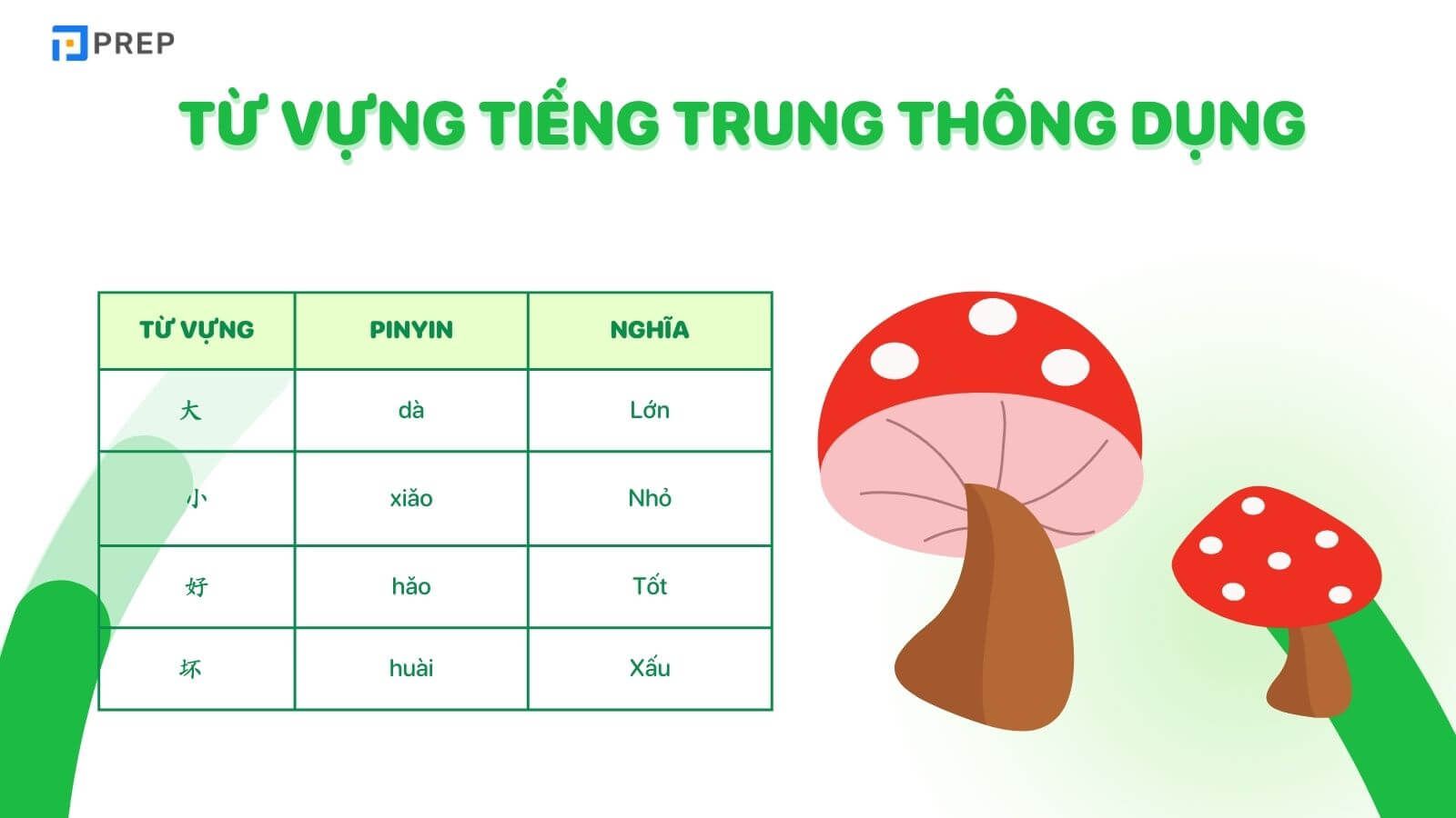 tu-vung-tieng-trung-cho-nguoi-moi-bat-dau-tinh-tu.jpg