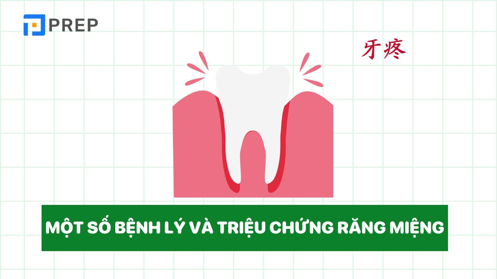 tu-vung-tieng-trung-ve-nha-khoa-benh-ly-rang-mieng.jpg