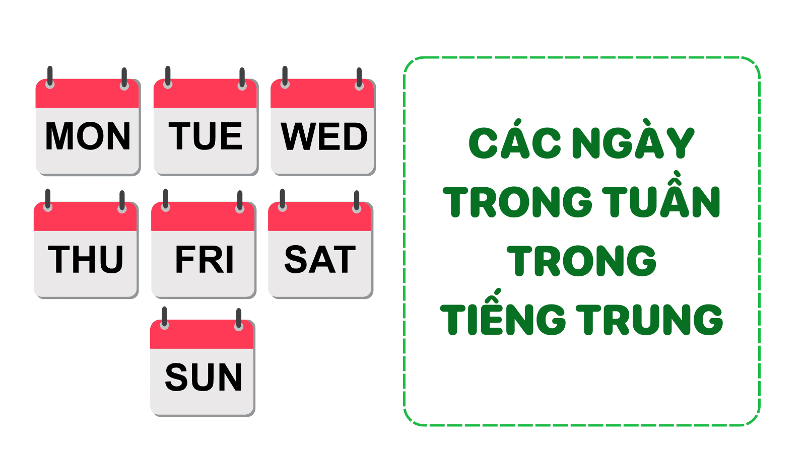 Từ vựng về các ngày trong tuần tiếng Trung