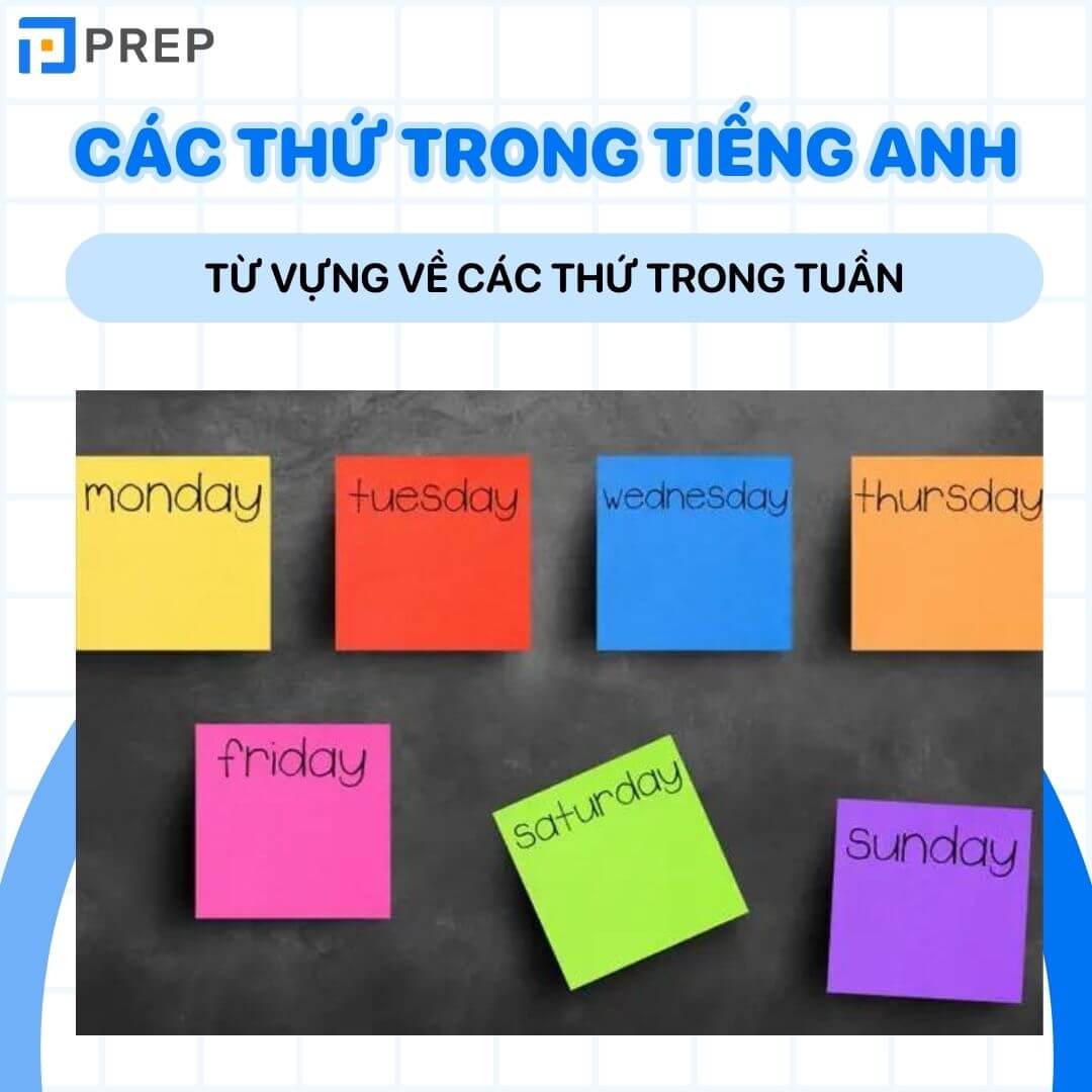 Từ vựng về các thứ trong tuần bằng tiếng Anh