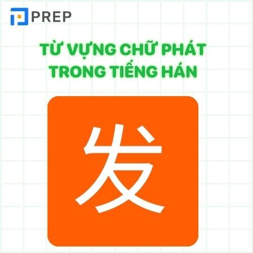 Từ vựng về chữ Phát trong tiếng Hán