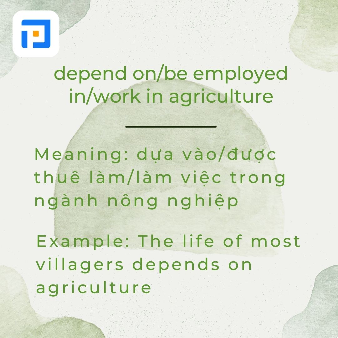 Từ vựng về chủ đề Hometown