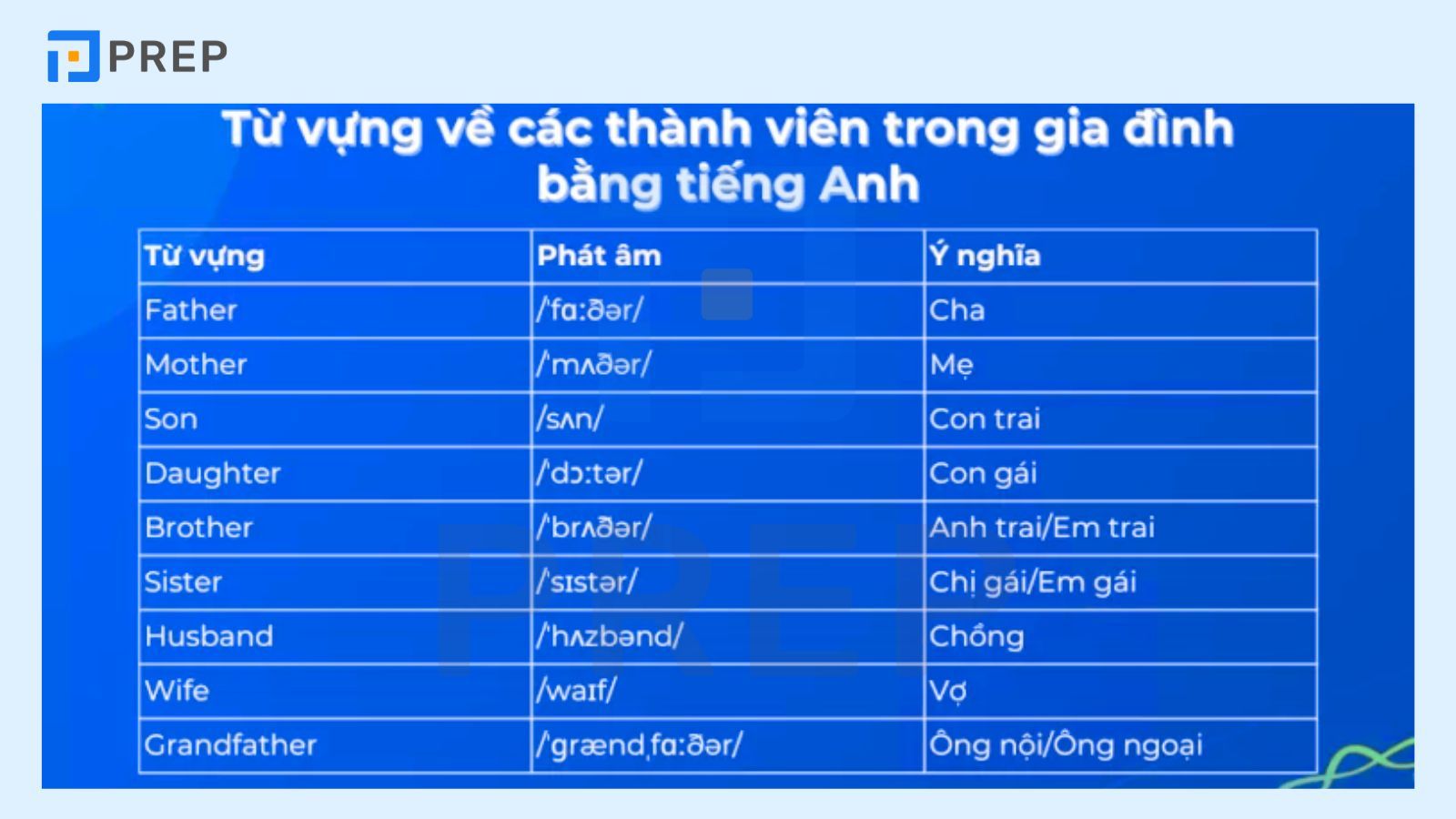 Từ vựng về thành viên trong gia đình bằng tiếng Anh