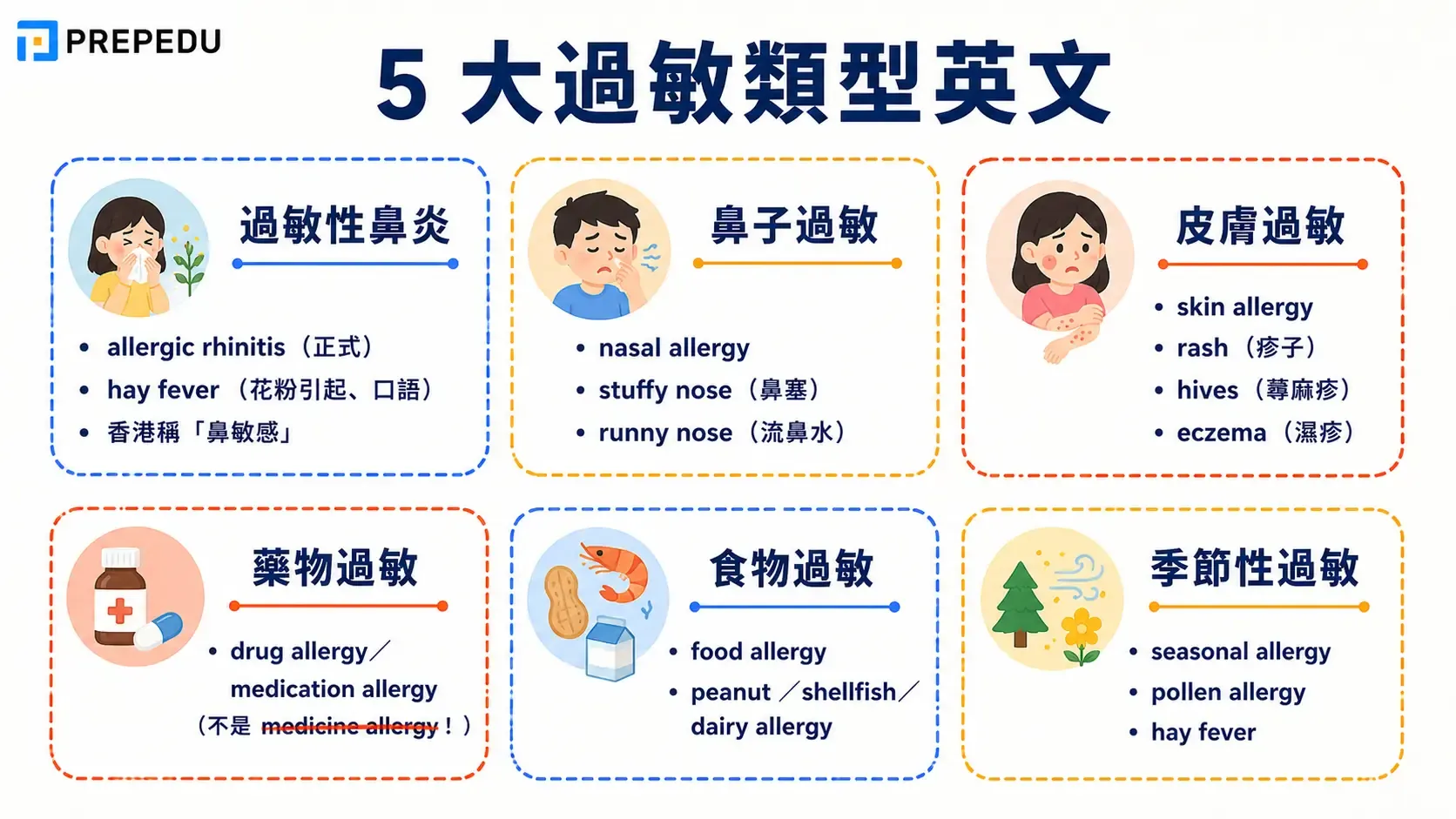 types-of-allergies-in-english.webp