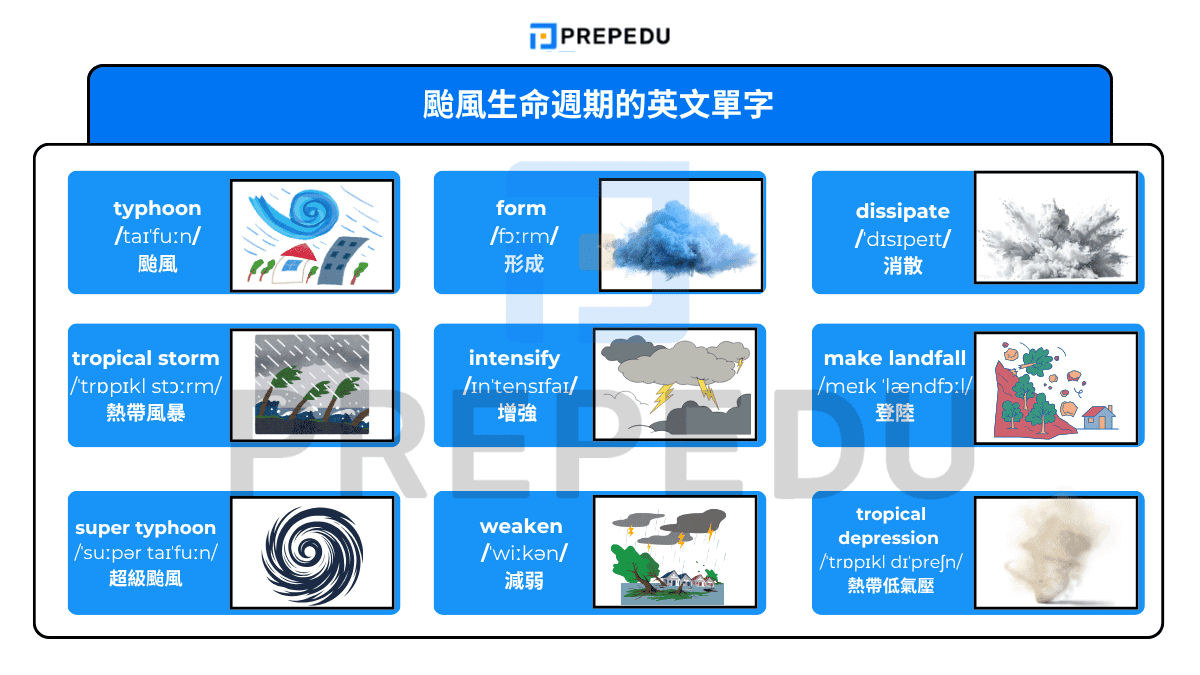 颱風生命週期的英文單字