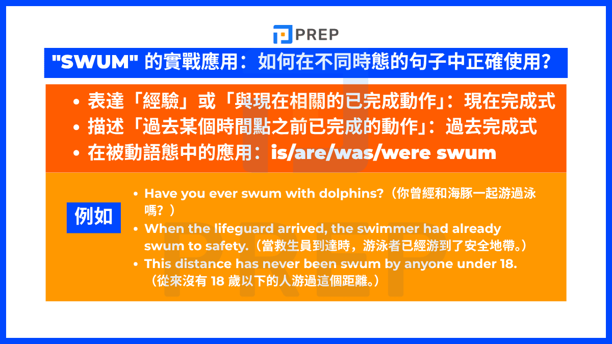 'Swum' 的實戰應用:如何在不同時態的句子中正確使用?