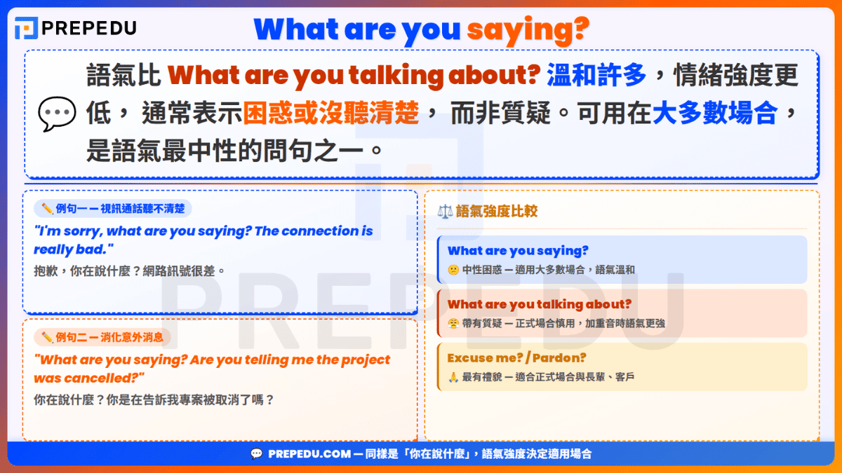 usage-of-what-are-you-saying-in-english.png