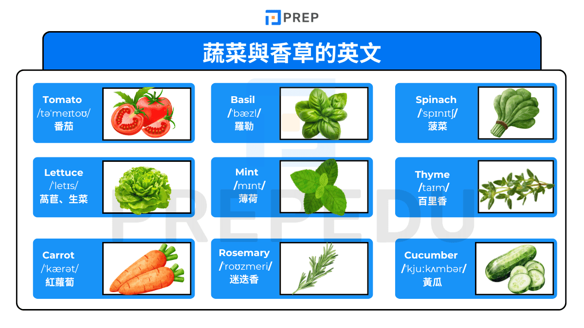 蔬菜與香草的英文單字