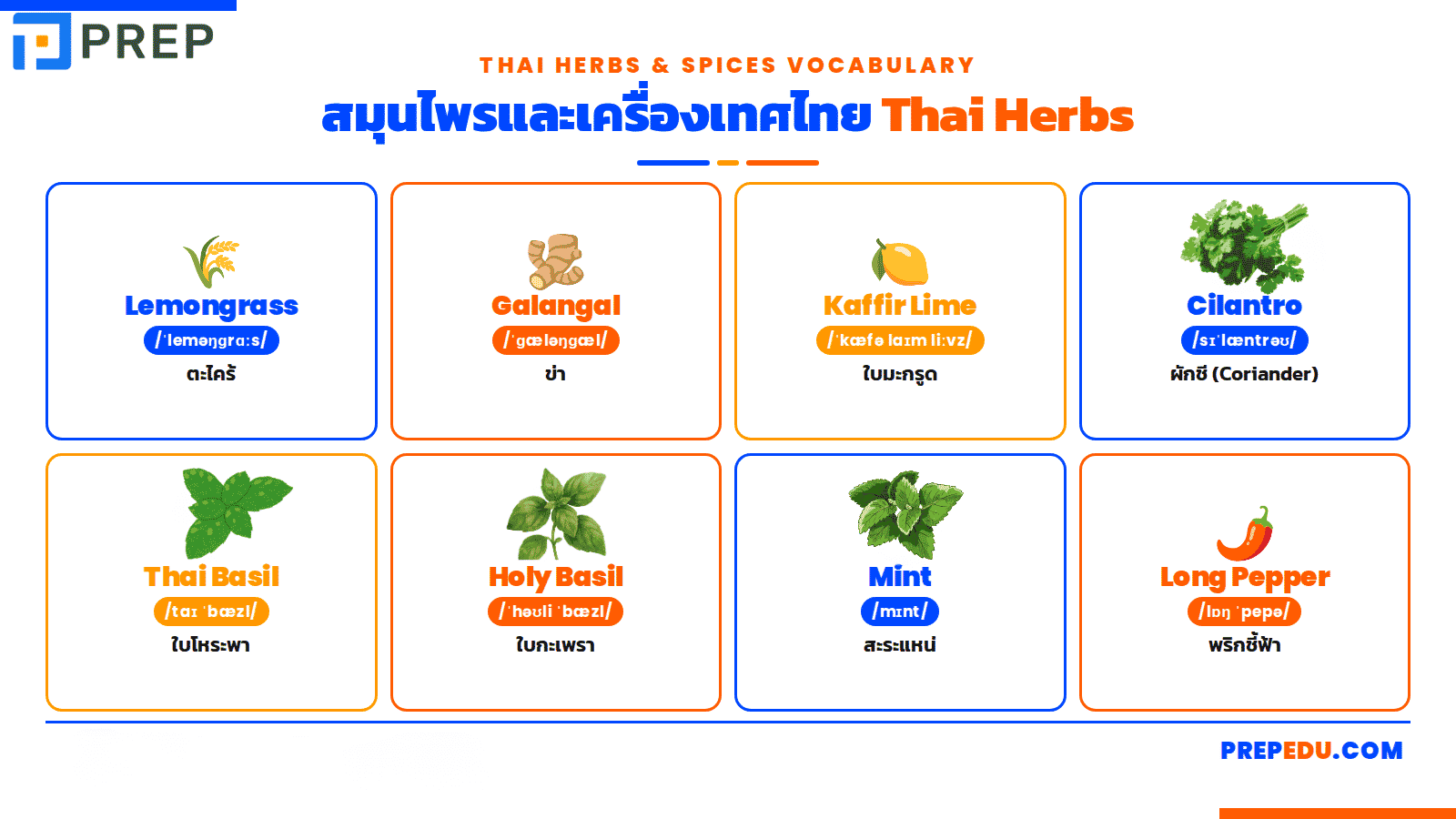 สมุนไพรและเครื่องเทศไทย (Thai Herbs)