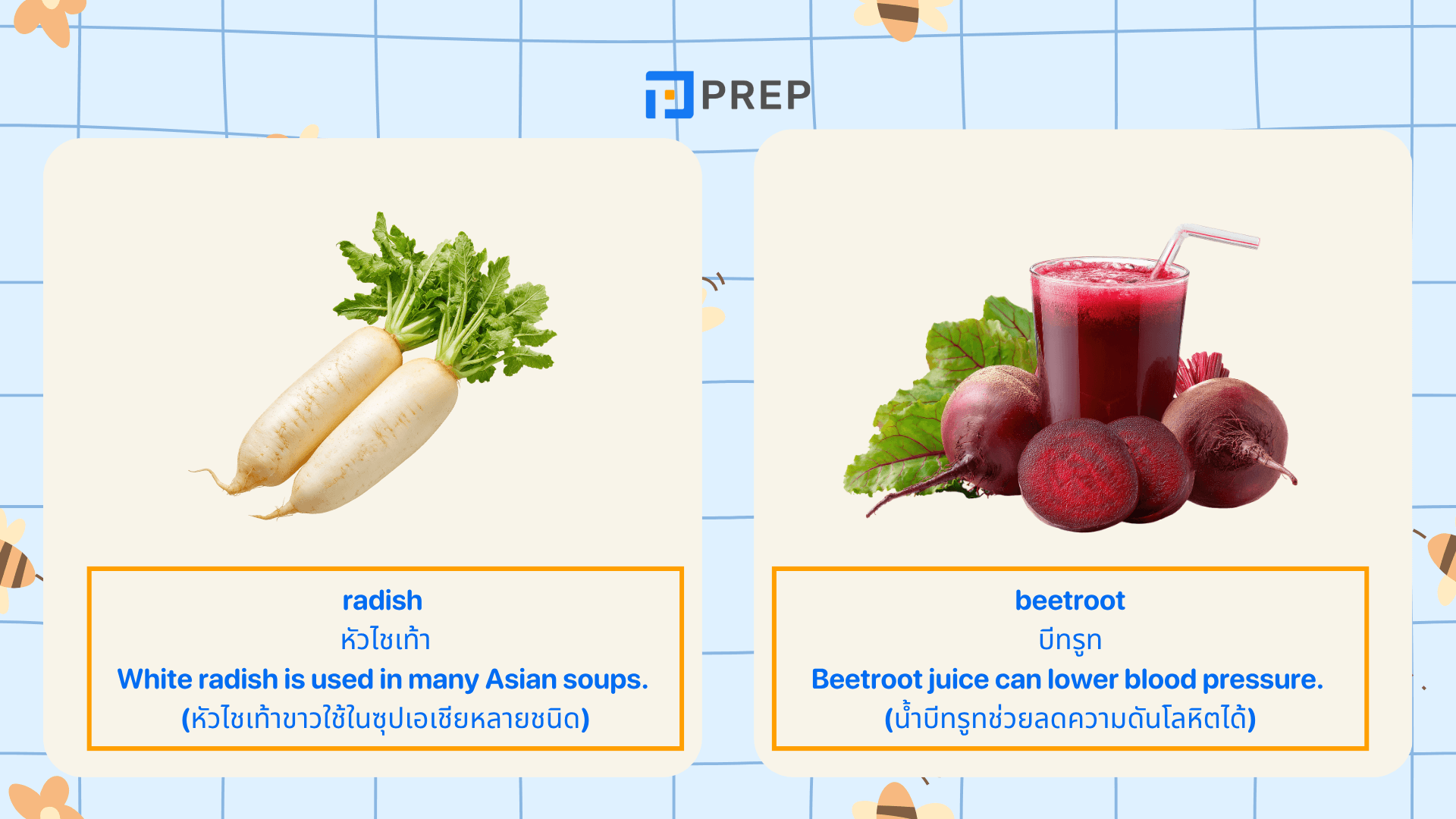 รวมคำศัพท์ ผัก ภาษาอังกฤษ Vegetable ที่ใช้บ่อย