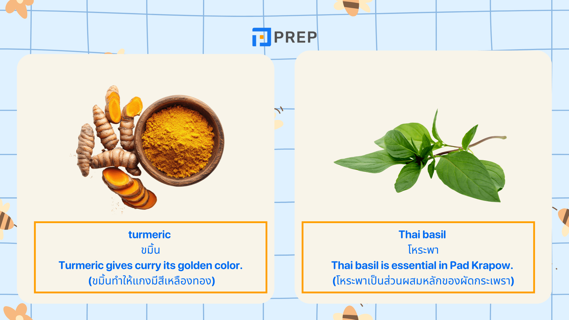 รวมคำศัพท์ ผัก ภาษาอังกฤษ Vegetable ที่ใช้บ่อย