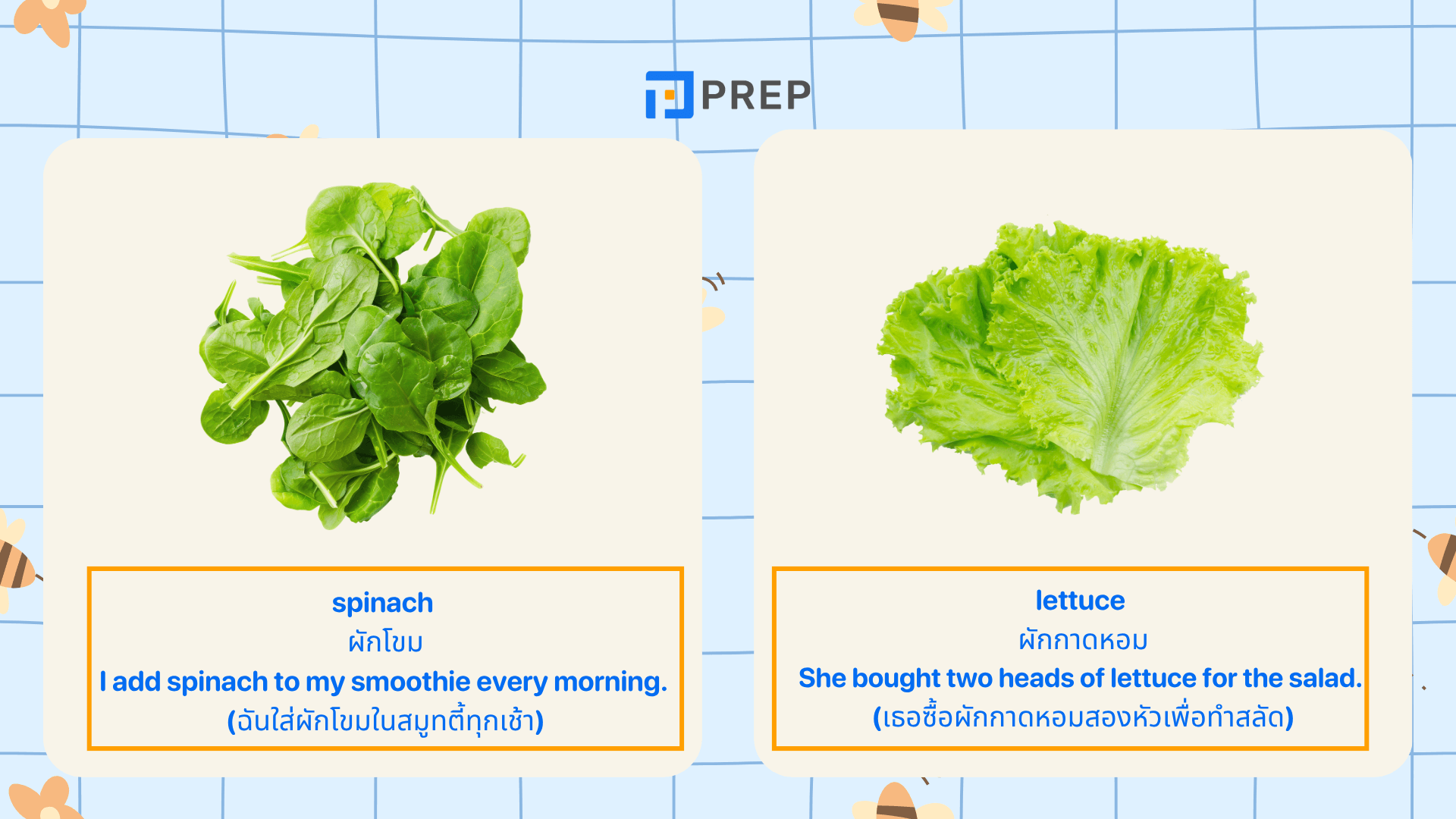 รวมคำศัพท์ ผัก ภาษาอังกฤษ Vegetable ที่ใช้บ่อย