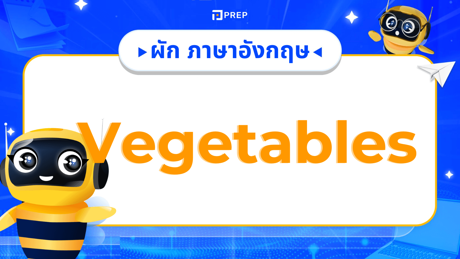 รวมคำศัพท์ ผัก ภาษาอังกฤษ Vegetable ที่ใช้บ่อย