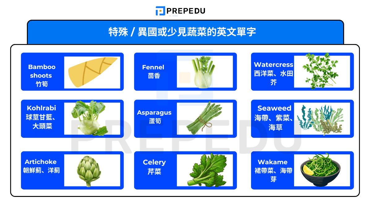 特殊 / 異國或少見蔬菜的英文單字