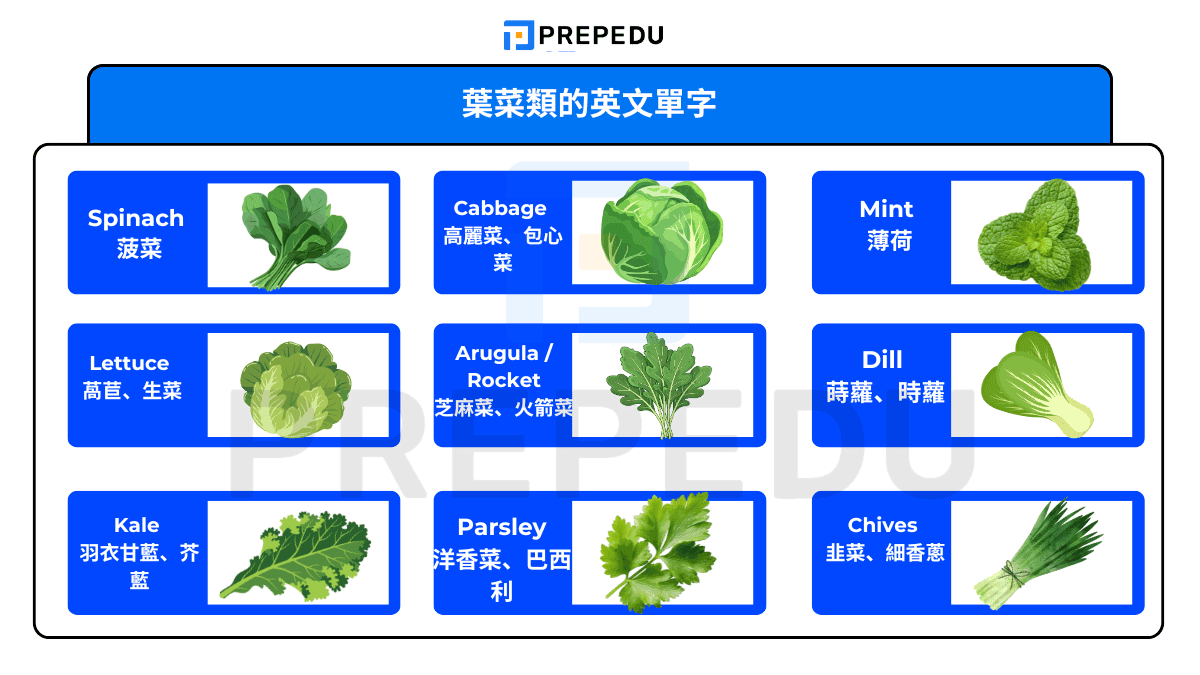 葉菜類的英文單字