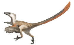 velociraptor_restoration.png