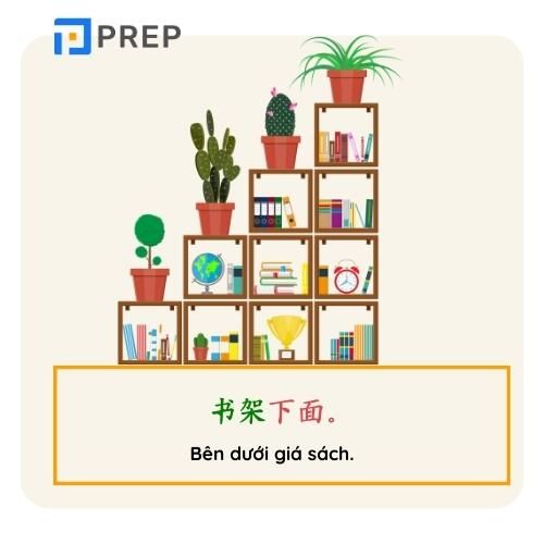 ví dụ phương vị từ