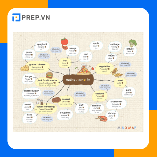 Ví dụ về phương pháp sử dụng Sơ đồ tư duy qua sách Mind Map English Vocabulary