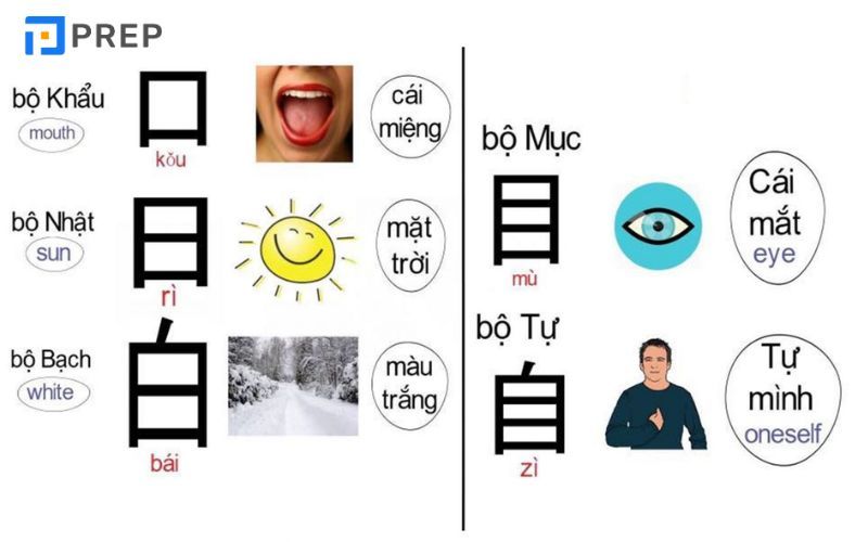 Ví dụ về cách học 214 bộ thủ