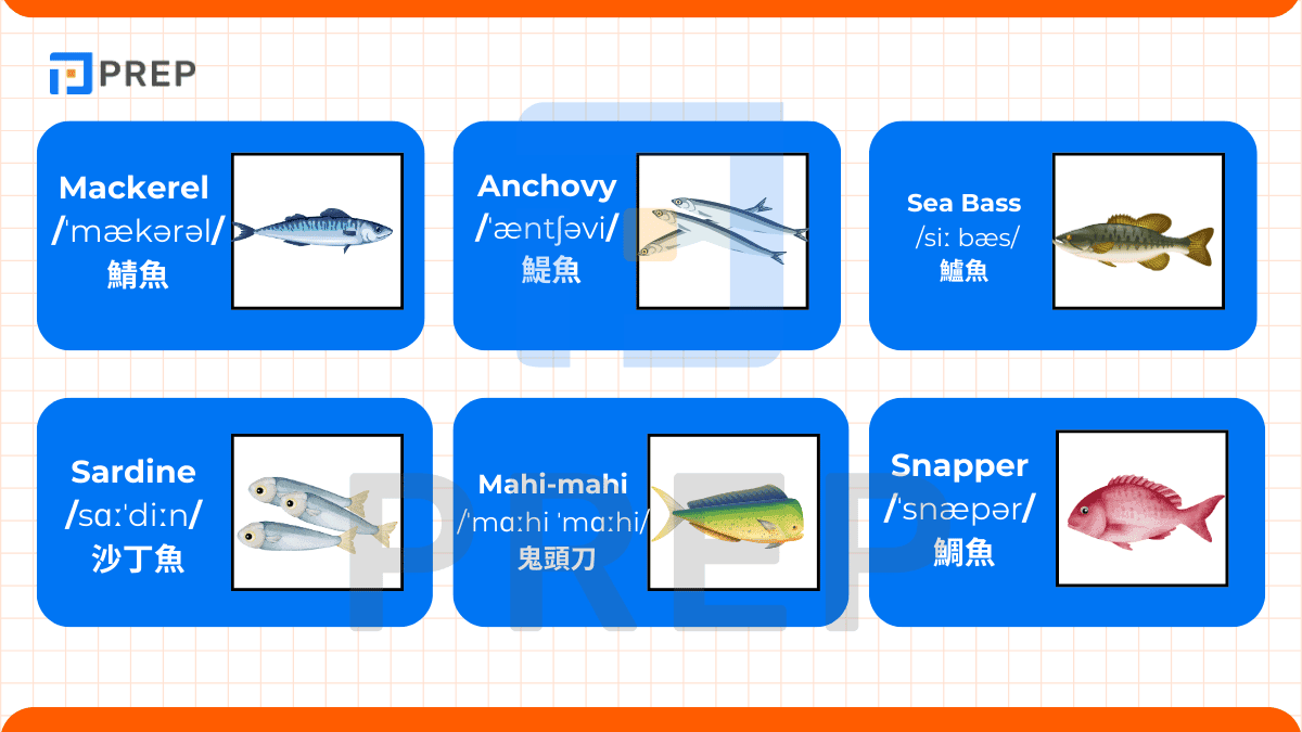 有關魚類的詞彙