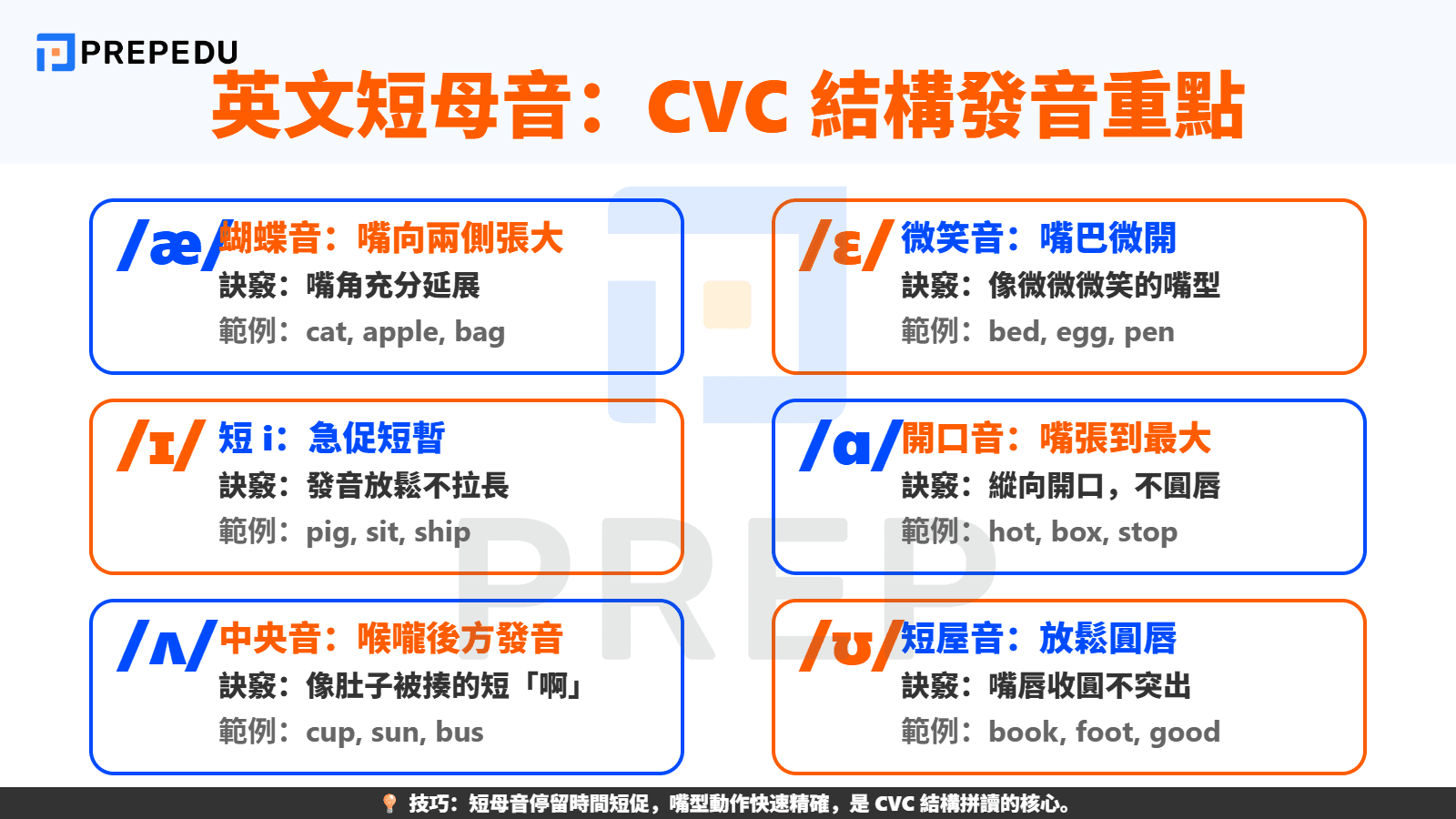 英文短母音發音規則（Short Vowels）