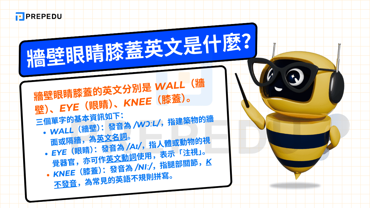 牆壁眼睛膝蓋的英文分別是 Wall（牆壁）、Eye（眼睛）、Knee（膝蓋）。