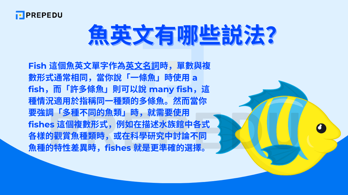 當你想表達「魚」這個概念時，最核心的魚英文單字就是 fish /fɪʃ/