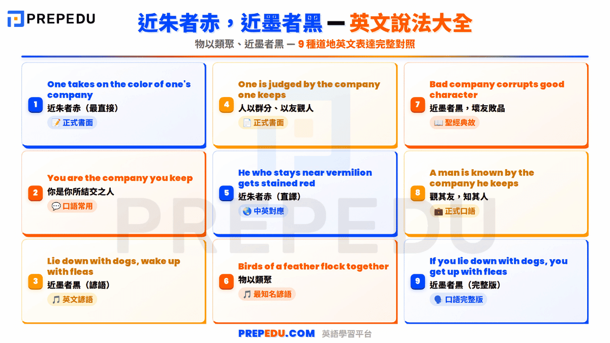 ways-to-say-you-are-the-company-you-keep-in-english.png