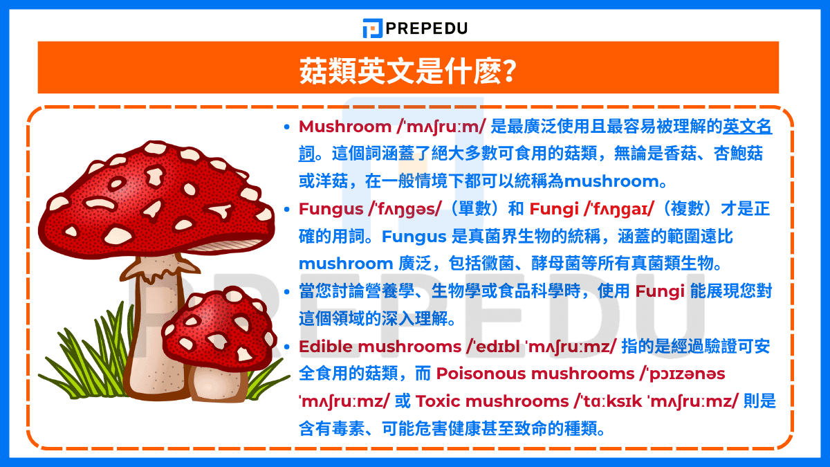 菇類英文是什麽？
