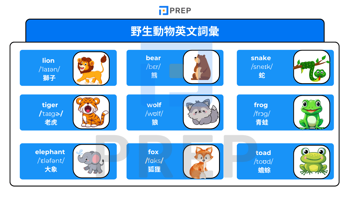 野生動物英文詞彙