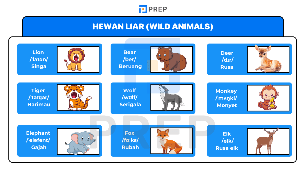 Hewan Liar (Wild Animals)
