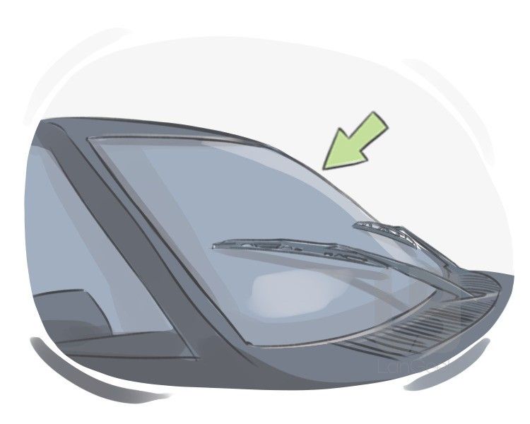 Windshield