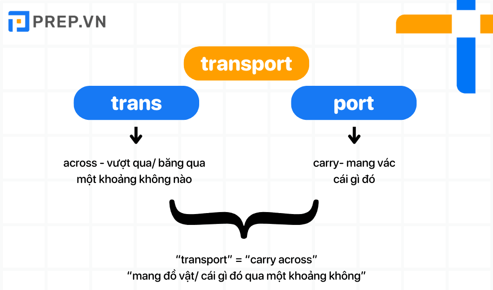 Ví dụ về học tiếng Anh qua Word Roots