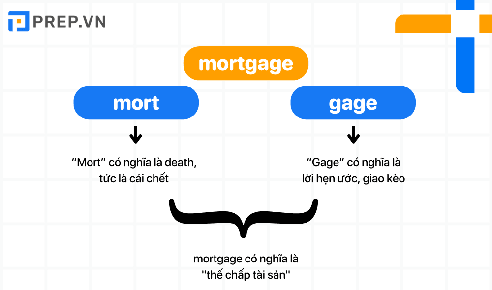 Ví dụ về học tiếng Anh qua Word Roots