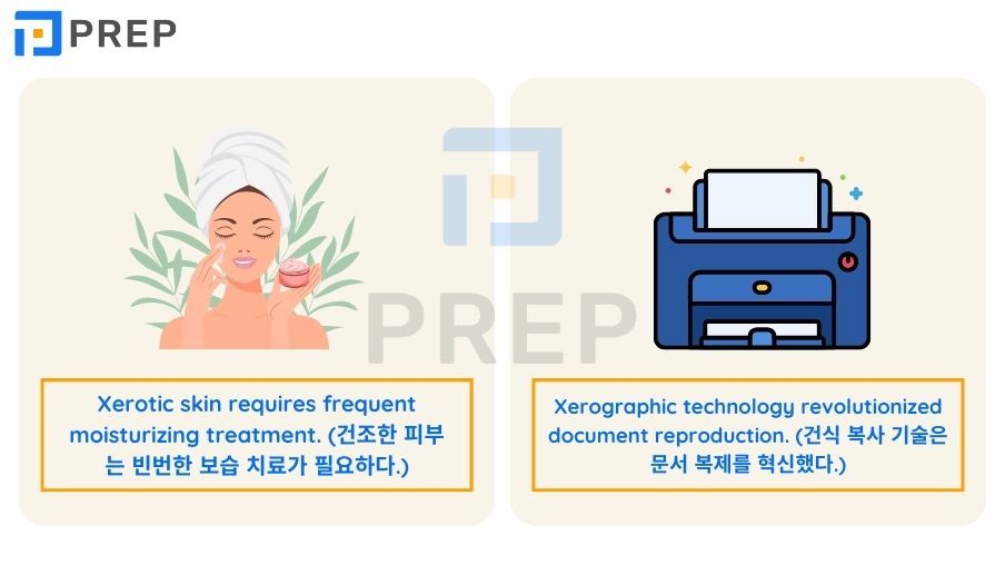 X로 시작하는 단어 250+개 총정리: 기초부터 심화 및 주제별 어휘까지 (발음, 예문, 복습 문제 포함)