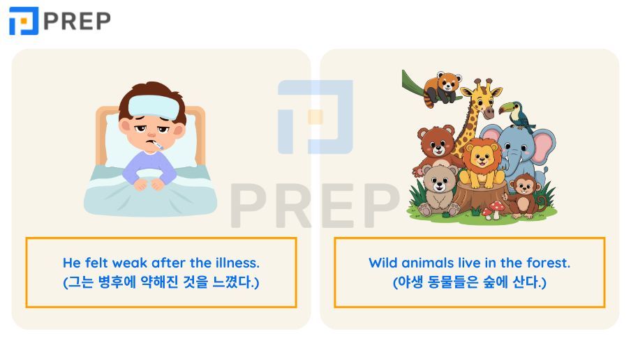 W로 시작하는 단어 250+개 총정리: 기초부터 심화 및 주제별 어휘까지