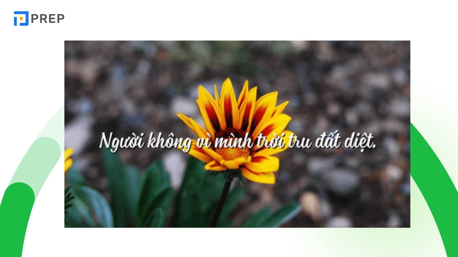 y-nghia-cau-nguoi-khong-vi-minh-troi-tru-dat-diet-tieng-trung.jpg